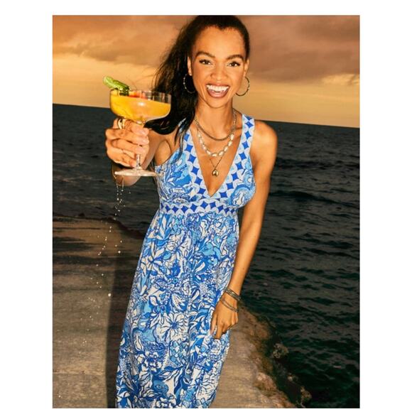 Lilly Pulitzer Serena V-Neck Maxi Dress Blue Tang Flocking Fabulous Size 6 - Picture 2 of 14